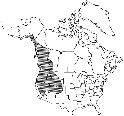 Map of <i>Woodsia scopulina  scopulina</i> in Canada