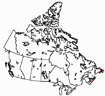 Map of <i>Anheteromeyenia pictouensis</i> in Canada