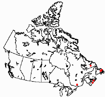 Map of <i>Corvomeyenia everetti</i> in Canada