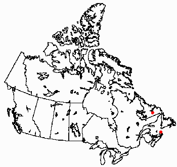 Map of <i>Corvospongilla becki</i> in Canada