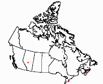 Map of <i>Ephydatia fluviatilis</i> in Canada
