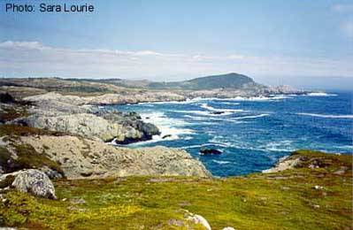 Atlantic Maritime Landforms