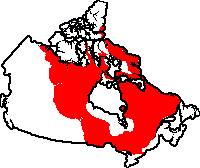Canadian Shield Geography