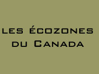 Canada's Ecozones