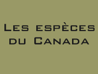 Canada's species