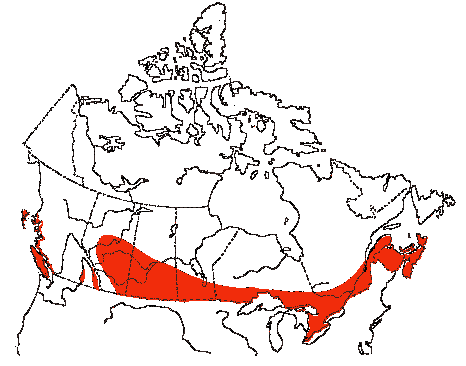 Map of Great Blue Heron in Canada