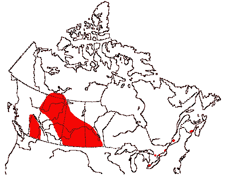 Map of Redhead in Canada