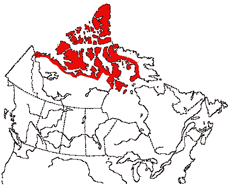 Map of Brant in Canada