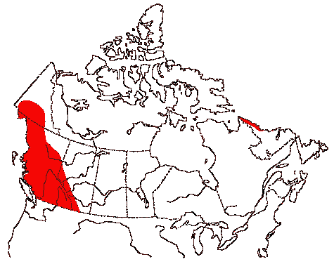 Map of Barrow's Goldeneye in Canada