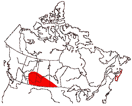 Map of Willet in Canada