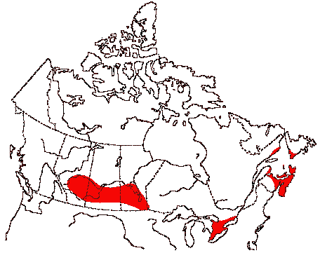 Map of piping plover in Canada