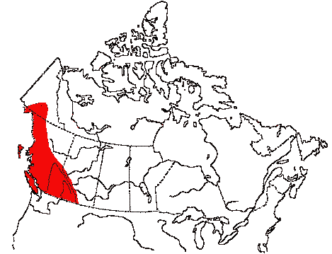 Map of Townsend's Warbler in Canada
