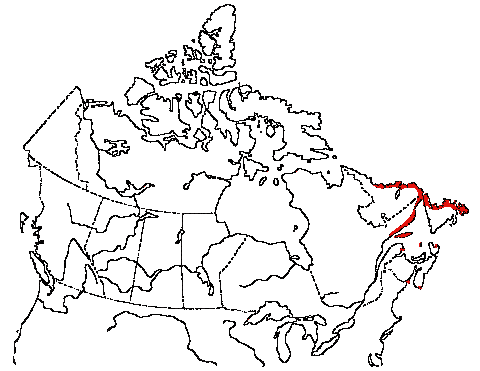 Map of Atlantic Puffin in Canada