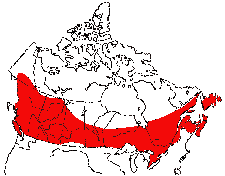 Map of Common Yellowthroat in Canada