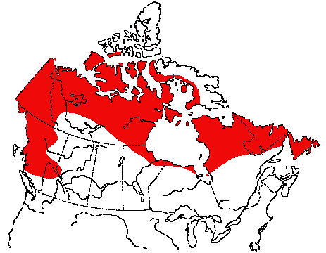 Map of Willow Ptarmigan in Canada