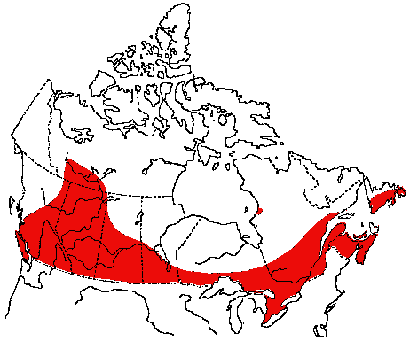 Map of Brown-headed Cowbird in Canada