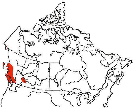 Map of Chestnut-backed Chickadee in Canada