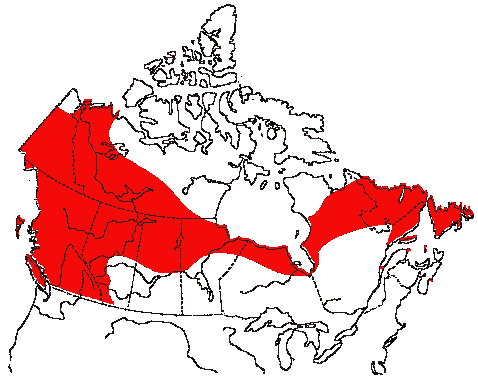 Map of Fox Sparrow in Canada