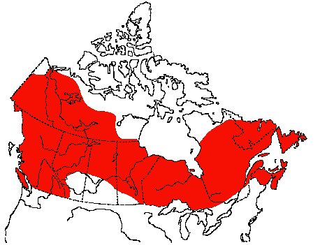 Map of Gray Jay in Canada