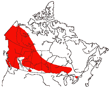 Map of Red-necked Grebe in Canada