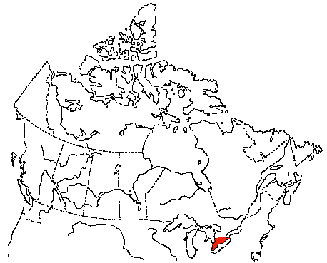 Map of Prothonotary Warbler in Canada