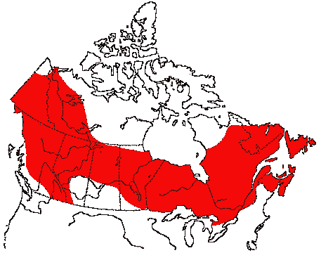 Map of Northern Waterthrush in Canada