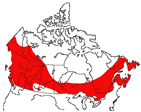 Map of Pine Siskin in Canada