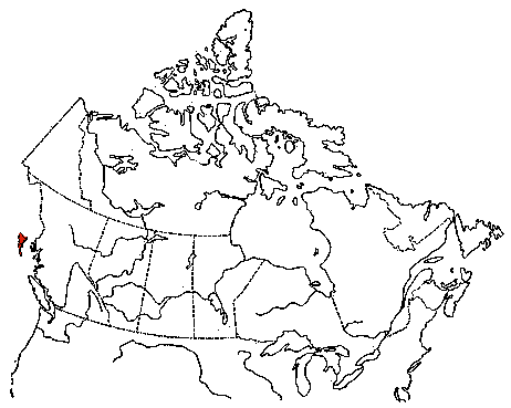 Map of Ancient Murrelet in Canada