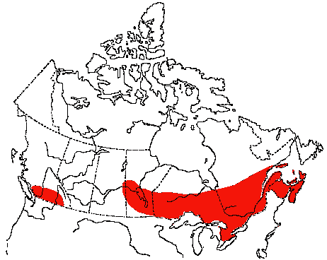 Map of Nashville Warbler in Canada