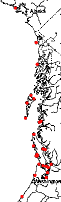Map of <i>Metacaprella kennerlyi</i> in Canada