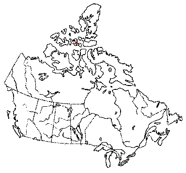 Map of <i>Coprinus martinii</i> in Canada