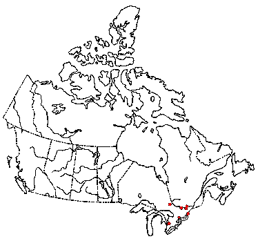 Map of <i>Crinipellis setipes</i> in Canada