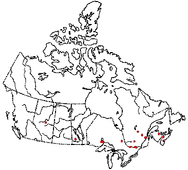 Map of <i>Galerina paludosa</i> in Canada