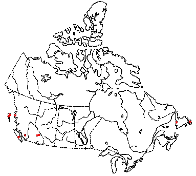 Map of <i>Hypholoma dispersum</i> in Canada