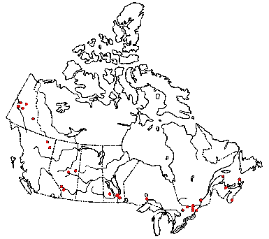 Map of <i>Marasmius epiphyllus</i> in Canada