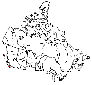 Map of <i>Mycena culmigena</i> in Canada