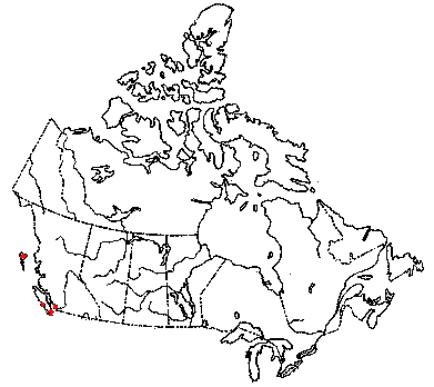 Map of <i>Omphalina viridis</i> in Canada