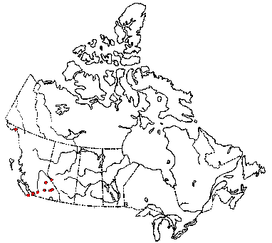 Map of Golden Flase Pholiota in Canada