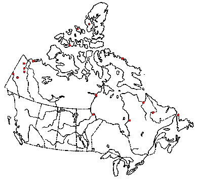 Map of <i>Phytoconis luteovitellina</i> in Canada