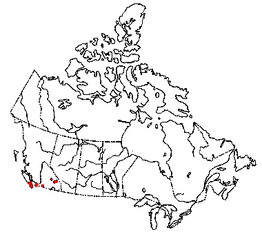 Map of Douglas-fir Collybia in Canada