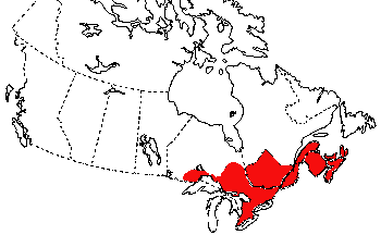 Map of Yellow-spotted salamander in Canada