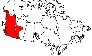 Map of Western Toad in Canada
