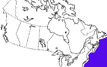 Map of Loggerhead Turtle in Canada