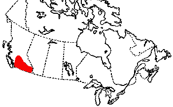 Map of Rubber Boa in Canada