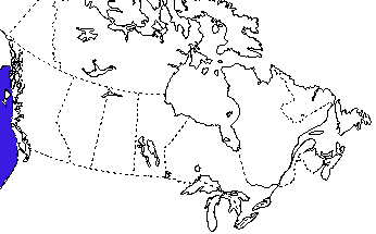 Map of Green Turtle in Canada