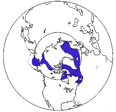 Map of Bowhead Whale in Canada