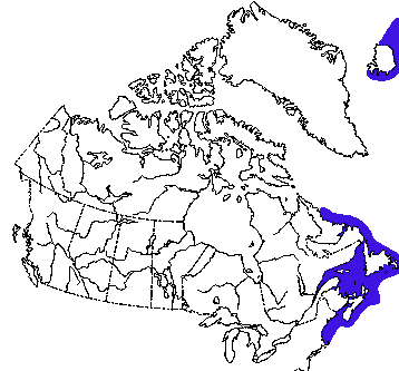 Map of Grey Seal in Canada