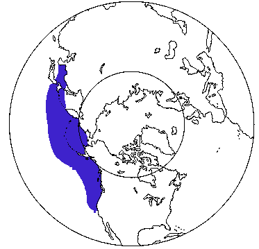 Map of Stejneger's Beaked Whale in Canada