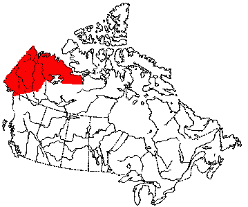 Map of Tundra Vole in Canada