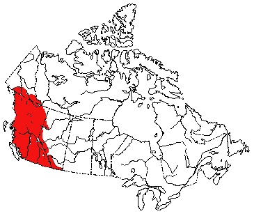 Map of Bushy-Tailed Wood Rat in Canada